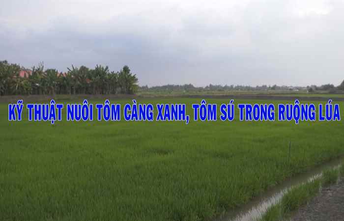 Trợ lực Nhà nông tiếng Khmer 20-06-2018
