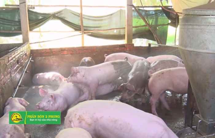 Trợ lực Nhà nông tiếng Khmer 22-05-2019