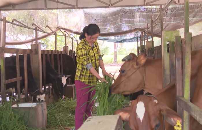 Trợ lực Nhà nông - Tiếng Khmer (22-06-2022)