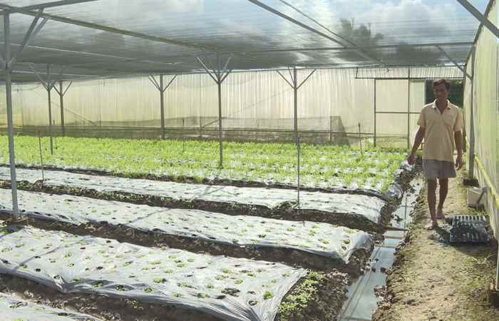 Trợ lực Nhà nông - Tiếng Khmer (23-11-2022)