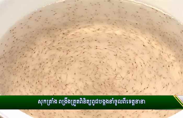Trợ lực Nhà nông - Tiếng Khmer (24-04-2024)