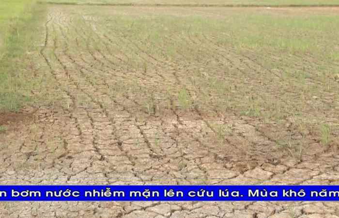 Trợ lực Nhà nông tiếng Khmer 24-06-2020