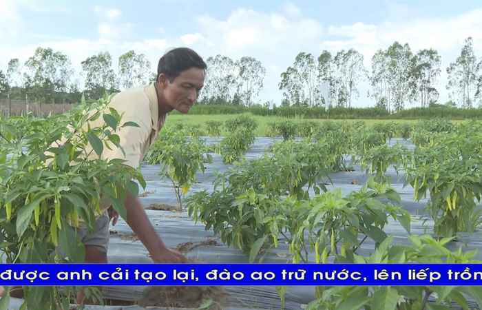 Trợ lực Nhà nông - Tiếng Khmer (25-01-2023)