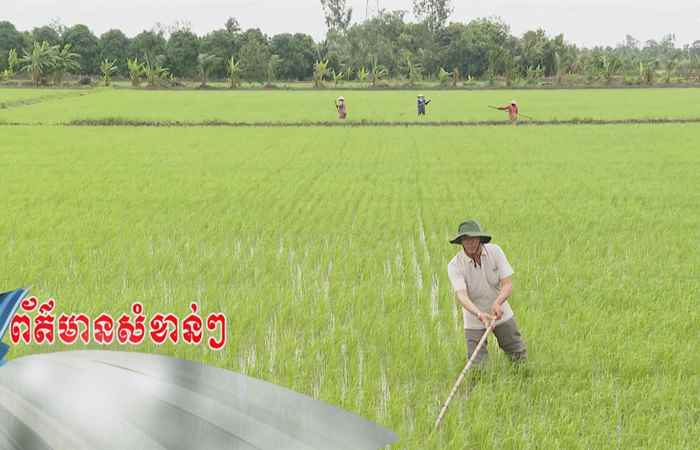 Trợ lực Nhà nông - Tiếng Khmer (25-09-2024)