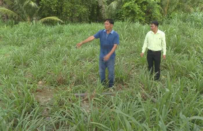 Trợ lực Nhà nông - Tiếng Khmer (26-10-2022)