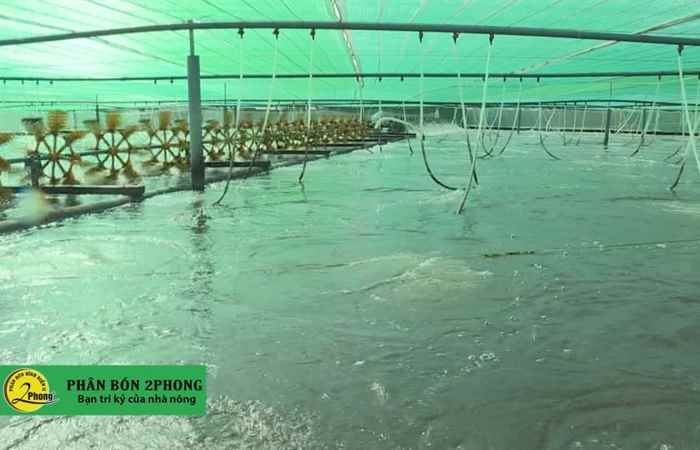 Trợ lực Nhà nông tiếng Khmer (27-05-2020)