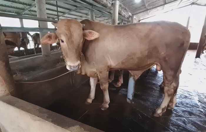 Trợ lực Nhà nông - Tiếng Khmer (27-07-2022)