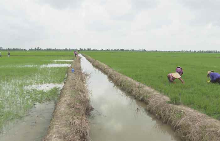 Trợ lực Nhà nông tiếng Khmer (27-10-2021)