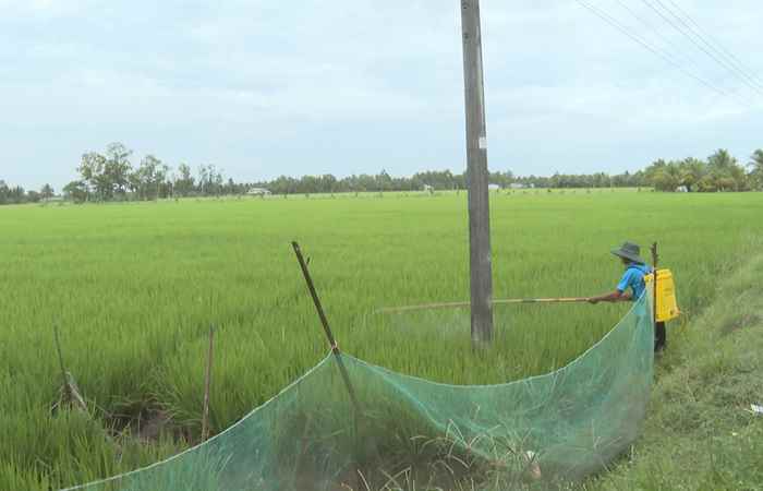 Trợ lực Nhà nông - Tiếng Khmer (28-08-2024)