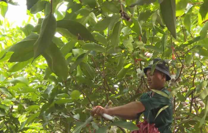  Trợ lực Nhà nông tiếng Khmer (30-03-2022)