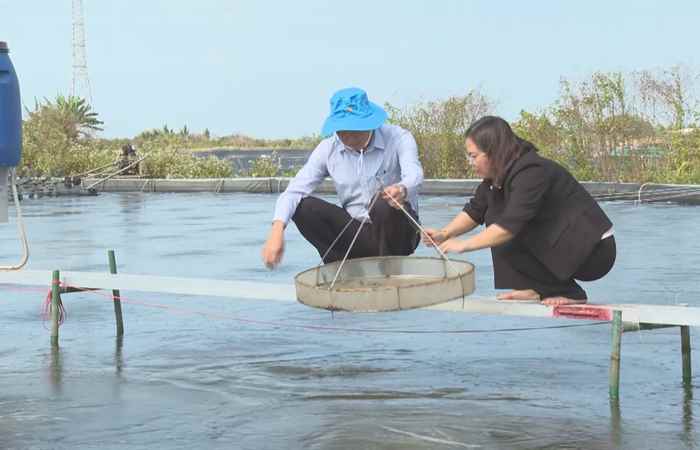 Trợ lực Nhà nông - Tiếng Khmer (31-01-2024)