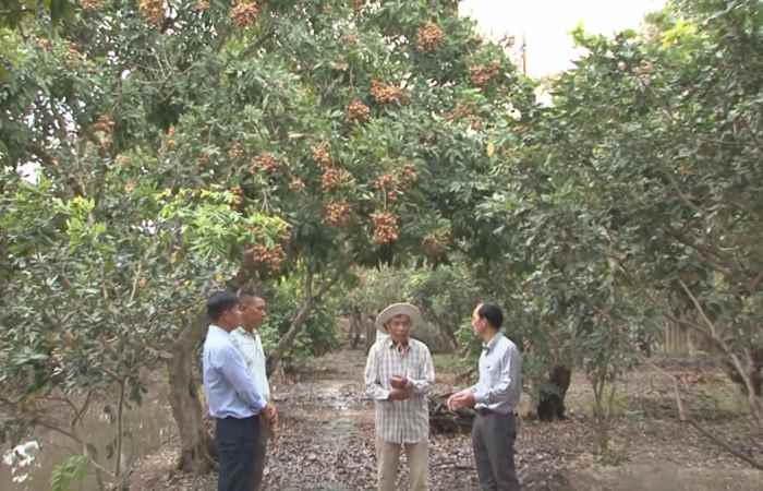 Trợ lực Nhà nông - Tiếng Khmer (31-08-2022)