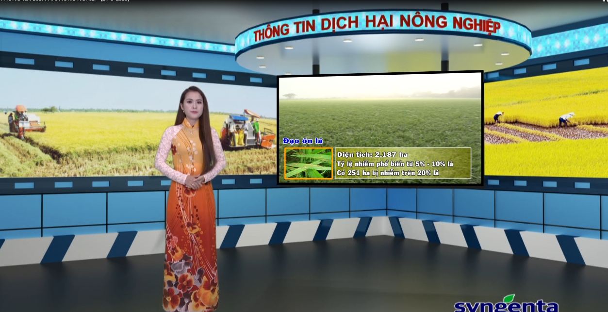 Thông tin dịch hại Nông nghiệp 24-08-2016