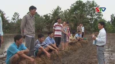 Tiến tới kiến thức vàng 03-06-2016