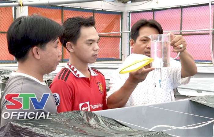 Ương Nauplius thẻ chân trắng theo quy trình sinh học