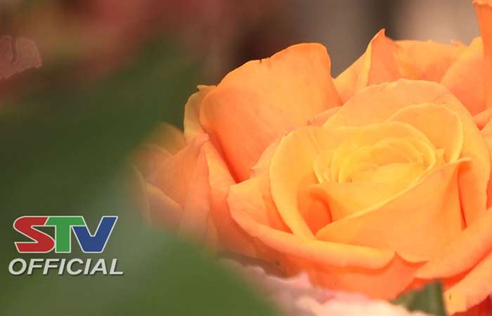 Valentine Day - Một tình yêu đẹp, hạnh phúc và vĩnh hằng 