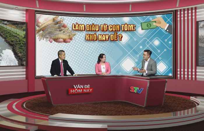 Vấn đề hôm nay - Làm giàu từ con tôm: Dễ hay khó? (30-03-2020)