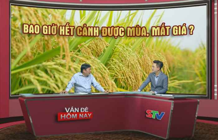 Vấn đề hôm nay - Bao giờ hết cảnh được mùa mất giá 23-09-2019