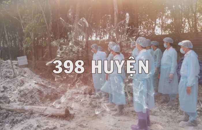 Vấn đề hôm nay Đối mặt với bệnh dịch tả heo châu Phi 10-06-2019