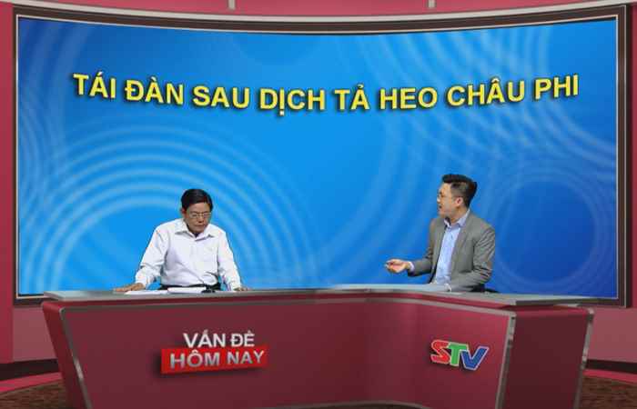 Vấn đề hôm nay - Tái đàn sau dịch tả heo Châu phi 02-12-2019