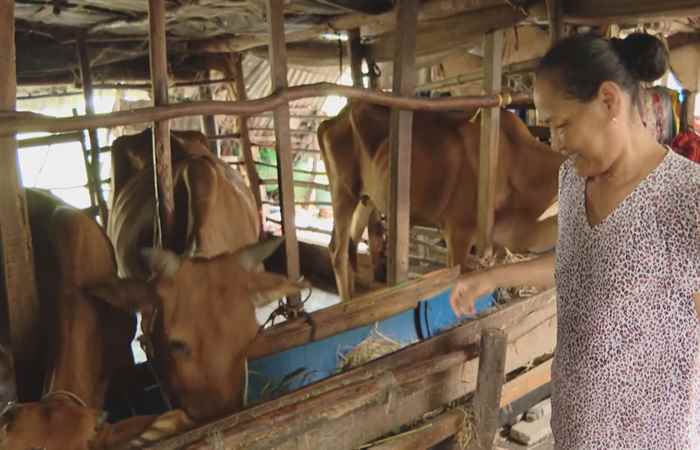 Sự khởi sắc trong đồng bào Khmer Sóc Trăng (09-11-2022)