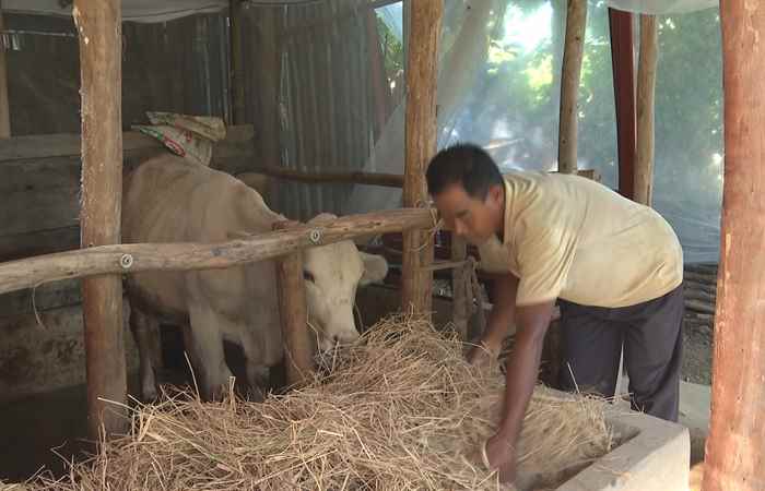 Hiệu quả từ Chương trình MTQG phát triển kinh tế - xã hội vùng đồng bào Dân tộc thiểu số và miền núi tại Sóc Trăng (14-06-2023)