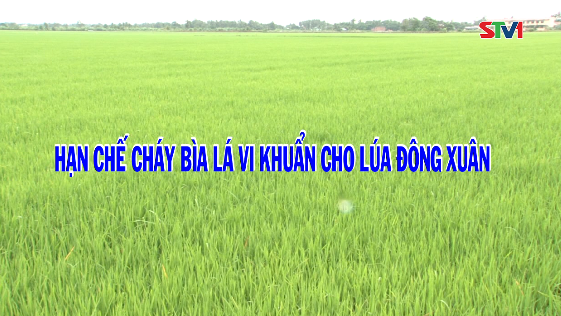 Vì Nông Nghiệp bền vững 24-11-2016