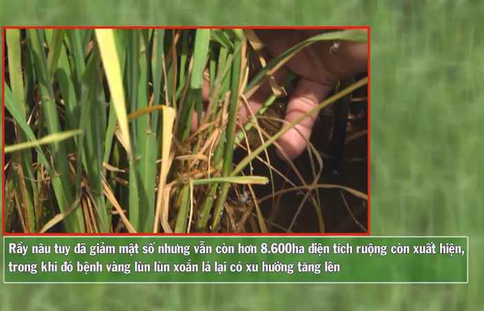 Vì Nông Nghiệp bền vững 07-09-2017