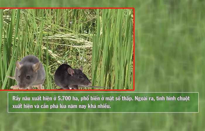 Vì Nông Nghiệp bền vững 07-12-2017