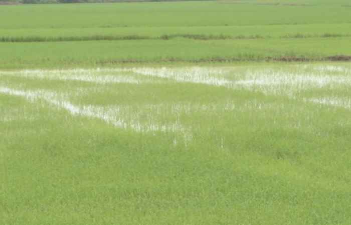 Vì Nông Nghiệp bền vững 08-06-2017
