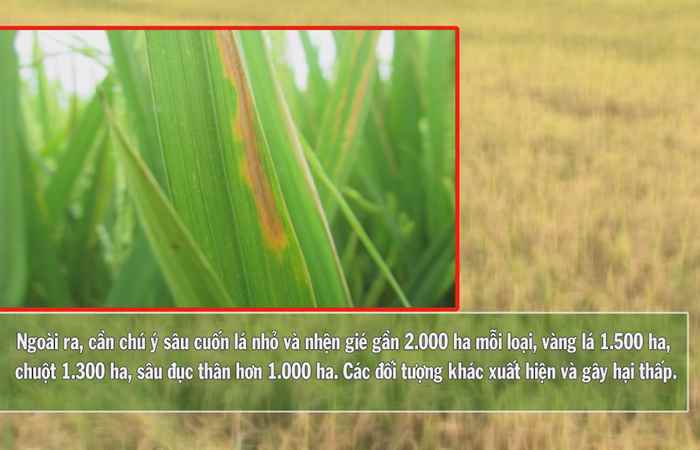 Vì Nông Nghiệp bền vững 13-04-2017