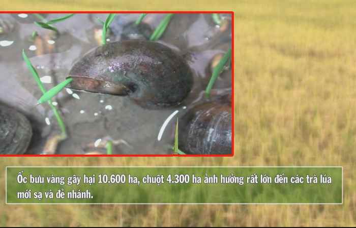 Vì Nông Nghiệp bền vững 15-06-2017