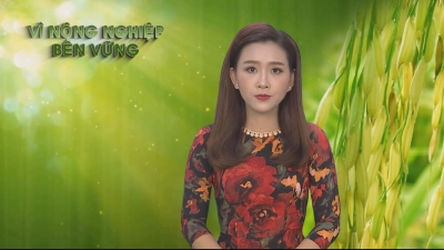 Vì Nông Nghiệp bền vững 23-06-2016
