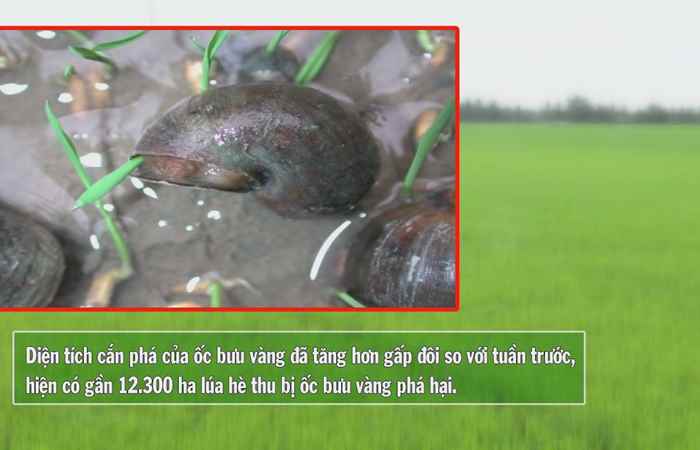 Vì Nông Nghiệp bền vững 25-05-2017