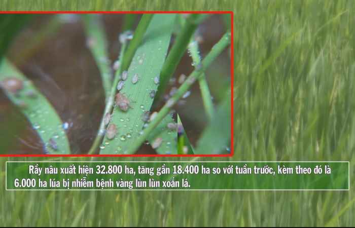 Vì Nông Nghiệp bền vững 29-06-2017