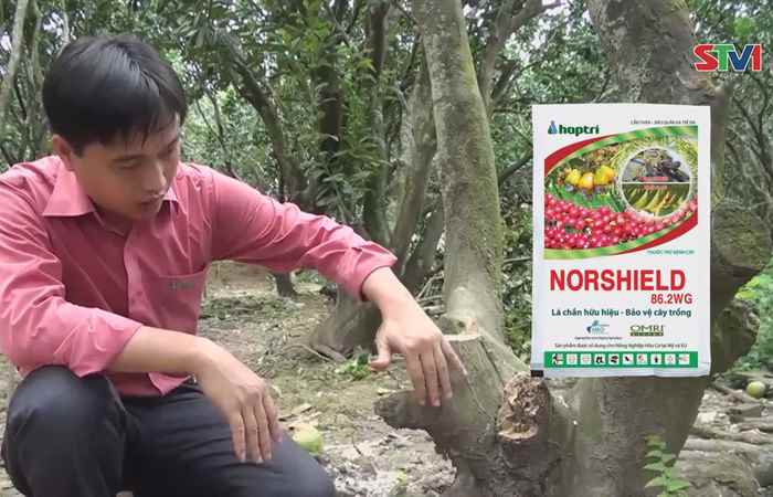 Vì Nông Nghiệp bền vững 31-08-2017