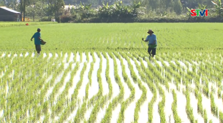 Vì Nông Nghiệp bền vững 09-02-2017